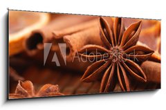 Obraz   Sternanis, 120 x 50 cm