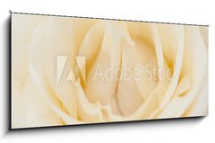 Obraz 1D panorama - 120 x 50 cm F_AB36659824 - Rosenbl te