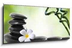 Obraz   Bamboo and frangipani for spa salon, 120 x 50 cm