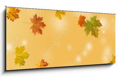 Skleněný obraz 1D panorama - 120 x 50 cm F_AB370583314 - autumn maple leaf