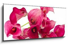 Sklenn obraz 1D panorama - 120 x 50 cm F_AB37226915 - Red Flower Calla