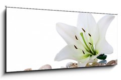 Obraz 1D panorama - 120 x 50 cm F_AB3753858 - spa flower  towel sea shell on white