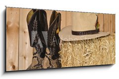 Obraz 1D panorama - 120 x 50 cm F_AB37950448 - Snakeskin cowboy boots