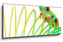 Obraz 1D panorama - 120 x 50 cm F_AB38488901 - Colorful Frog on a spring, coil toy - Barevn ba na jae, cvka hraku