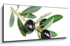 Obraz 1D panorama - 120 x 50 cm F_AB38821931 - Olives over white