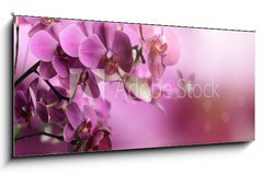 Obraz 1D panorama - 120 x 50 cm F_AB39704074 - Orchid flowers composition