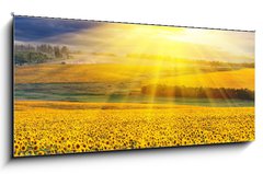 Obraz   Sunset over the field, 120 x 50 cm