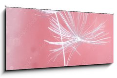 Skleněný obraz 1D panorama - 120 x 50 cm F_AB399541072 - Dandelion parachutes macro shooting - Makro fotografování pampeliškového padáku