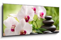 Obraz   spa concept, 120 x 50 cm