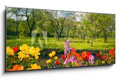 Obraz 1D panorama - 120 x 50 cm F_AB40326527 - Blumen vor Streuobstgarten