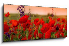 Obraz 1D panorama - 120 x 50 cm F_AB40720767 - Field of poppies on a sunset