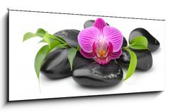 Obraz 1D panorama - 120 x 50 cm F_AB40752784 - orchid