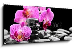 Obraz 1D panorama - 120 x 50 cm F_AB40752844 - orchid