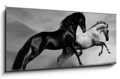 Sklenn obraz 1D panorama - 120 x 50 cm F_AB40870436 - horses run - kon b