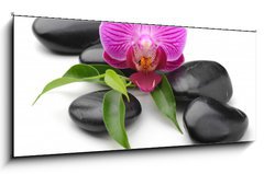 Obraz 1D panorama - 120 x 50 cm F_AB40893585 - orchid