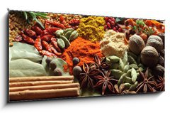 Skleněný obraz 1D panorama - 120 x 50 cm F_AB41495761 - Herbs and spices. - Bylinky a koření.