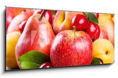 Sklenn obraz 1D panorama - 120 x 50 cm F_AB42497010 - fruits and berries - ovoce a bobule