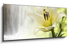 Sklenn obraz 1D panorama - 120 x 50 cm F_AB43046755 - Spritzige Lilie
