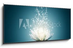 Skleněný obraz 1D - 120 x 50 cm F_AB43535323 - Lotus flower - lotosový květ