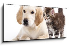Sklenn obraz 1D panorama - 120 x 50 cm F_AB43955871 - Cat and dog