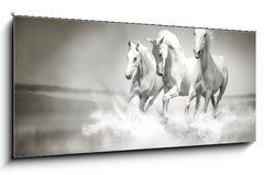 Obraz 1D panorama - 120 x 50 cm F_AB44040199 - Herd of white horses running through water