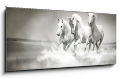 Sklenn obraz 1D panorama - 120 x 50 cm F_AB44040199 - Herd of white horses running through water