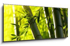 Obraz 1D panorama - 120 x 50 cm F_AB44190942 - Bamboo forest background. Shallow DOF