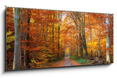 Obraz 1D panorama - 120 x 50 cm F_AB44662629 - Pathway in the autumn forest