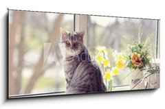 Obraz 1D panorama - 120 x 50 cm F_AB44792547 - cat sitting on the windowsill in the flowers on the background o