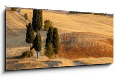 Obraz 1D panorama - 120 x 50 cm F_AB44861103 - Tuscan countryside at sunset, near Pienza, Tuscany, Italy - Tosknsk krajina pi zpadu slunce, nedaleko Pienza, Tosknsko, Itlie