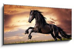 Obraz 1D panorama - 120 x 50 cm F_AB45203930 - Black Friesian horse gallop