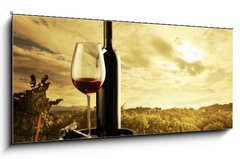 Sklenn obraz 1D panorama - 120 x 50 cm F_AB46448273 - Vineyard at sunset - Vinice pi zpadu slunce