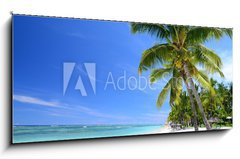 Sklenn obraz 1D panorama - 120 x 50 cm F_AB46621590 - Mauritius