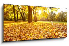 Obraz   herbsttag, 120 x 50 cm