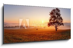 Obraz 1D - 120 x 50 cm F_AB47055686 - Alone tree on meadow at sunset with sun and mist - panorama - Samostatn strom na louce pi zpadu slunce se sluncem a mlhou