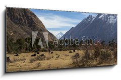 Obraz   Plateau of Samagon, 120 x 50 cm