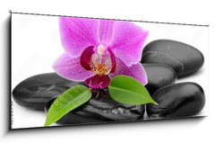 Obraz 1D panorama - 120 x 50 cm F_AB48780940 - orchid