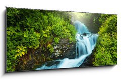 Obraz 1D panorama - 120 x 50 cm F_AB48903421 - Creek in forest