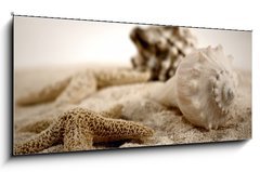 Obraz   seashells on the sand, 120 x 50 cm