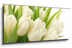 Obraz 1D - 120 x 50 cm F_AB49549577 - Tulipany - Tulipny