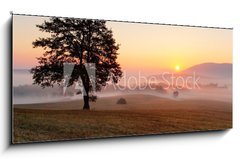 Obraz 1D - 120 x 50 cm F_AB50398429 - Alone tree on meadow at sunset with sun and mist - panorama