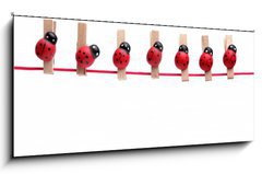 Sklenn obraz 1D panorama - 120 x 50 cm F_AB5068236 - Ladybugs pins