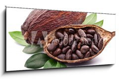 Sklenn obraz 1D panorama - 120 x 50 cm F_AB50690760 - Cocoa pod - Kakaov lusek