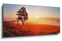 Obraz   Tree and sun, 120 x 50 cm