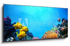 Sklenn obraz 1D panorama - 120 x 50 cm F_AB52173106 - Underwater scene. Coral reef, fish groups in clear ocean water