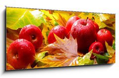 Sklenn obraz 1D panorama - 120 x 50 cm F_AB5313769 - Harvest. Autumn still life with red apples and leaves