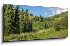 Obraz 1D - 120 x 50 cm F_AB53630626 - Nature of  green trees, road on Medeo, Kazakhstan - Proda zelench strom, silnice na Medeo, Kazachstn