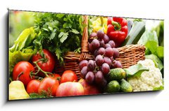 Skleněný obraz 1D panorama - 120 x 50 cm F_AB53663656 - Fresh organic vegetables in wicker basket in the garden - Čerstvá organická zelenina v proutěném koši na zahradě