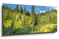 Obraz 1D - 120 x 50 cm F_AB53756433 - Nature of  green trees and blue sky, near Medeo in Kazakhstan