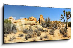 Obraz 1D panorama - 120 x 50 cm F_AB54332730 - Joshua Tree